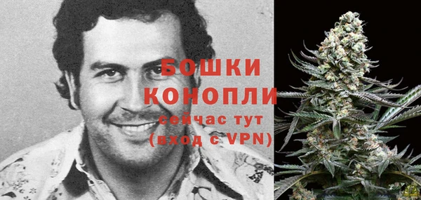 ГАЛЛЮЦИНОГЕННЫЕ ГРИБЫ Зерноград