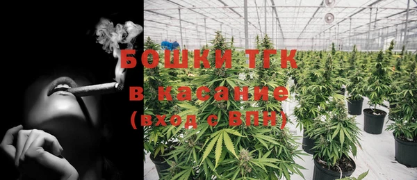 ГАЛЛЮЦИНОГЕННЫЕ ГРИБЫ Зерноград