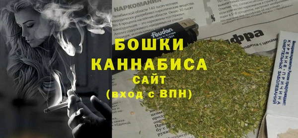 прущие грибы Зеленокумск