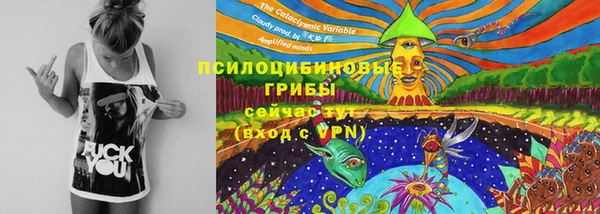 дживик Зеленодольск