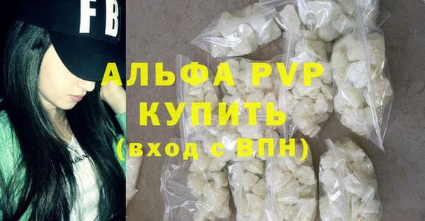 прущие грибы Зеленокумск