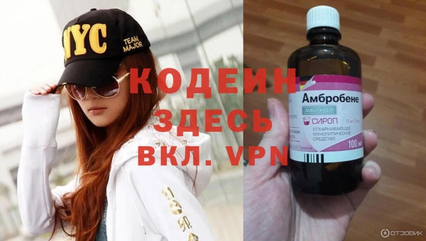 прущие грибы Зеленокумск
